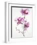 Orchids 1-Karin Johannesson-Framed Art Print