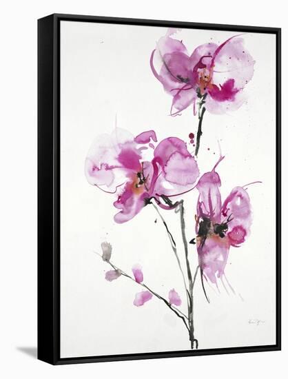 Orchids 1-Karin Johannesson-Framed Stretched Canvas