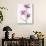 Orchids 1-Karin Johannesson-Art Print displayed on a wall