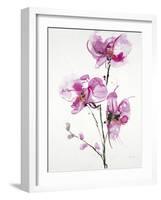 Orchids 1-Karin Johannesson-Framed Art Print