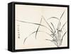 Orchids after Wen Zhengming-null-Framed Stretched Canvas