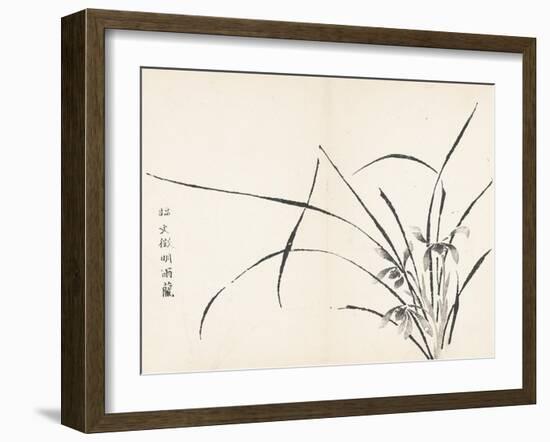 Orchids after Wen Zhengming-null-Framed Art Print