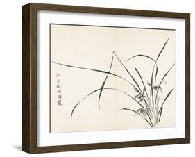 Orchids after Wen Zhengming-null-Framed Art Print