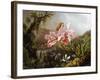 Orchids and Hummingbirds in a Brazilian Jungle, C. 1871-72-Martin Johnson Heade-Framed Giclee Print