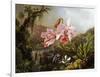 Orchids and Hummingbirds in a Brazilian Jungle, C. 1871-72-Martin Johnson Heade-Framed Giclee Print