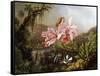 Orchids and Hummingbirds in a Brazilian Jungle, C. 1871-72-Martin Johnson Heade-Framed Stretched Canvas