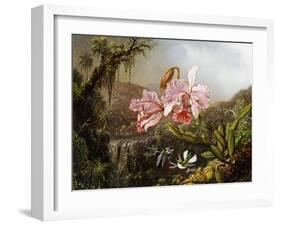 Orchids and Hummingbirds in a Brazilian Jungle, C. 1871-72-Martin Johnson Heade-Framed Premium Giclee Print