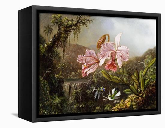 Orchids and Hummingbirds in a Brazilian Jungle, C. 1871-72-Martin Johnson Heade-Framed Stretched Canvas