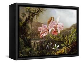 Orchids and Hummingbirds in a Brazilian Jungle, C. 1871-72-Martin Johnson Heade-Framed Stretched Canvas