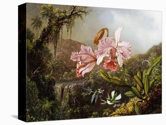 Orchids and Hummingbirds in a Brazilian Jungle, C. 1871-72-Martin Johnson Heade-Stretched Canvas