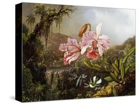 Orchids and Hummingbirds in a Brazilian Jungle, C. 1871-72-Martin Johnson Heade-Stretched Canvas