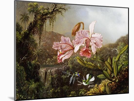 Orchids and Hummingbirds in a Brazilian Jungle, C. 1871-72-Martin Johnson Heade-Mounted Giclee Print