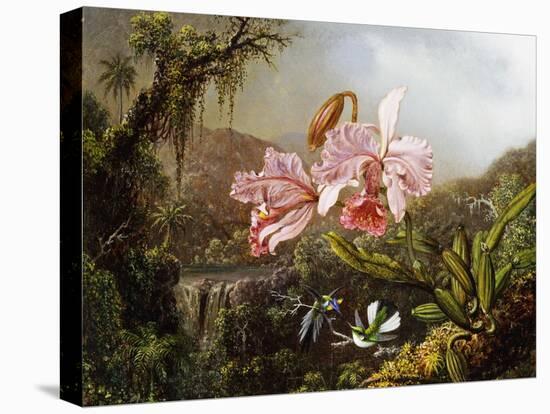 Orchids and Hummingbirds in a Brazilian Jungle, C. 1871-72-Martin Johnson Heade-Stretched Canvas