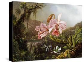 Orchids and Hummingbirds in a Brazilian Jungle, C. 1871-72-Martin Johnson Heade-Stretched Canvas