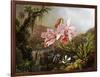 Orchids and Hummingbirds in a Brazilian Jungle-Martin Johnson Heade-Framed Giclee Print