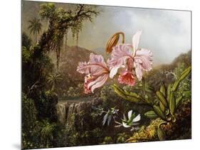 Orchids and Hummingbirds in a Brazilian Jungle-Martin Johnson Heade-Mounted Giclee Print