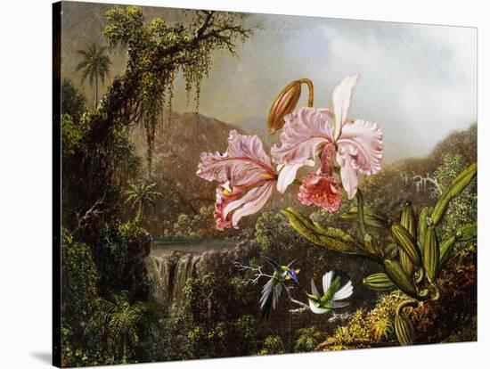 Orchids and Hummingbirds in a Brazilian Jungle-Martin Johnson Heade-Stretched Canvas