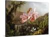 Orchids and Hummingbirds in a Brazilian Jungle-Martin Johnson Heade-Stretched Canvas