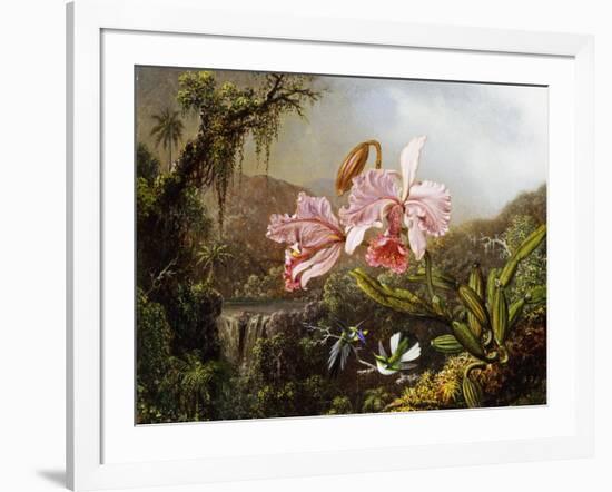 Orchids and Hummingbirds in a Brazilian Jungle-Martin Johnson Heade-Framed Giclee Print