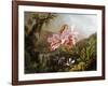 Orchids and Hummingbirds in a Brazilian Jungle-Martin Johnson Heade-Framed Giclee Print