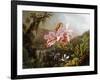 Orchids and Hummingbirds in a Brazilian Jungle-Martin Johnson Heade-Framed Giclee Print