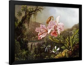 Orchids and Hummingbirds in a Brazilian Jungle-Martin Johnson Heade-Framed Giclee Print