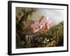 Orchids and Hummingbirds in a Brazilian Jungle-Martin Johnson Heade-Framed Giclee Print