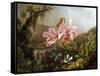 Orchids and Hummingbirds in a Brazilian Jungle-Martin Johnson Heade-Framed Stretched Canvas