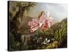 Orchids and Hummingbirds in a Brazilian Jungle-Martin Johnson Heade-Stretched Canvas