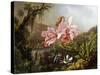 Orchids and Hummingbirds in a Brazilian Jungle-Martin Johnson Heade-Stretched Canvas