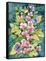 Orchids and Hummingbirds-Kathleen Parr McKenna-Framed Stretched Canvas