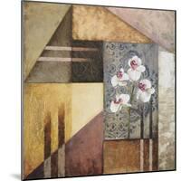 Orchids and Shapes I-Michael Marcon-Mounted Art Print