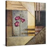 Orchids and Shapes II-Michael Marcon-Stretched Canvas