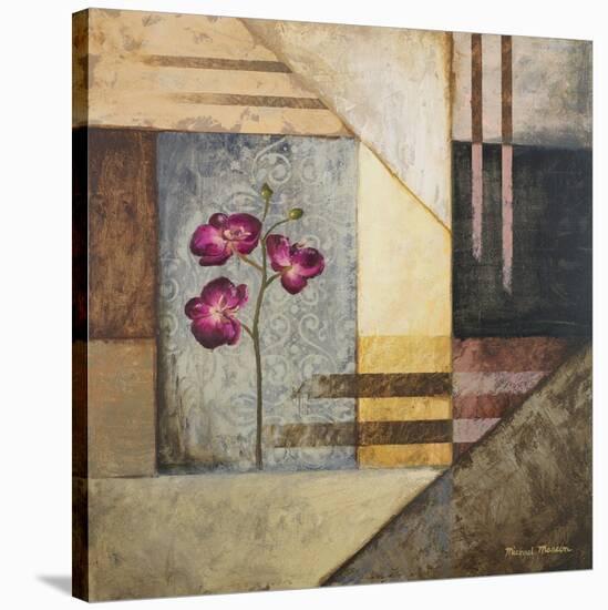 Orchids and Shapes II-Michael Marcon-Stretched Canvas