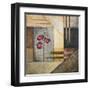 Orchids and Shapes II-Michael Marcon-Framed Art Print