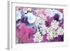 Orchids Blossoms-Alaya Gadeh-Framed Photographic Print