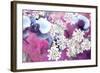 Orchids Blossoms-Alaya Gadeh-Framed Photographic Print