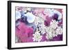 Orchids Blossoms-Alaya Gadeh-Framed Photographic Print