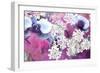 Orchids Blossoms-Alaya Gadeh-Framed Photographic Print