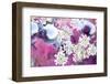 Orchids Blossoms-Alaya Gadeh-Framed Photographic Print