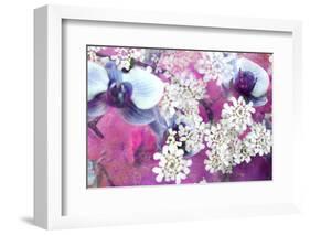 Orchids Blossoms-Alaya Gadeh-Framed Photographic Print