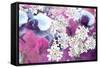 Orchids Blossoms-Alaya Gadeh-Framed Stretched Canvas