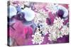 Orchids Blossoms-Alaya Gadeh-Stretched Canvas