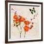 Orchids & Butterflies I-Teo Rizzardi-Framed Art Print