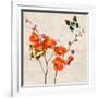 Orchids & Butterflies I-Teo Rizzardi-Framed Art Print