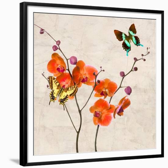 Orchids & Butterflies I-Teo Rizzardi-Framed Art Print