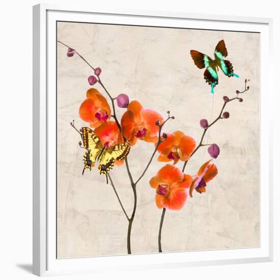 Orchids & Butterflies I-Teo Rizzardi-Framed Art Print