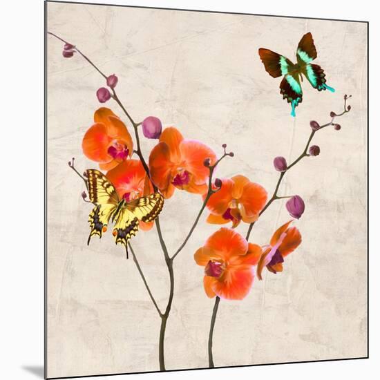 Orchids & Butterflies I-Teo Rizzardi-Mounted Art Print