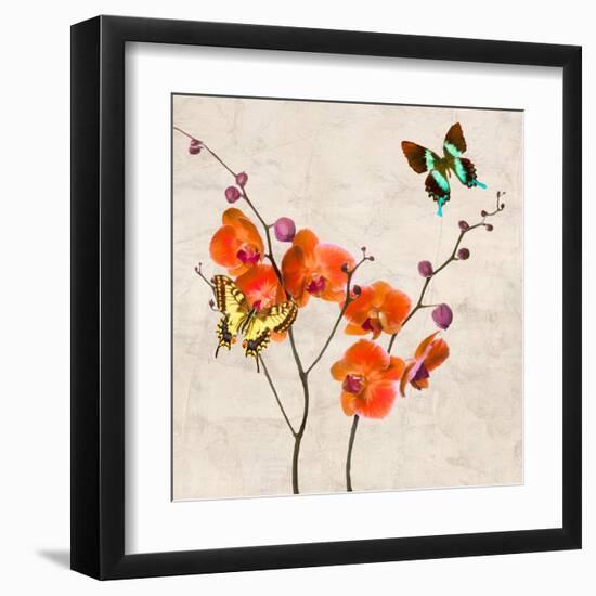 Orchids & Butterflies I-Teo Rizzardi-Framed Art Print