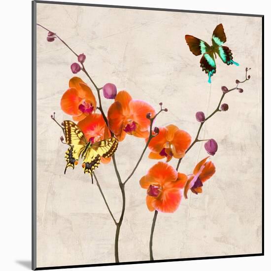 Orchids & Butterflies I-Teo Rizzardi-Mounted Art Print